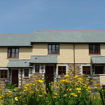 Rose Cottage كاميلفورد المظهر الخارجي الصورة