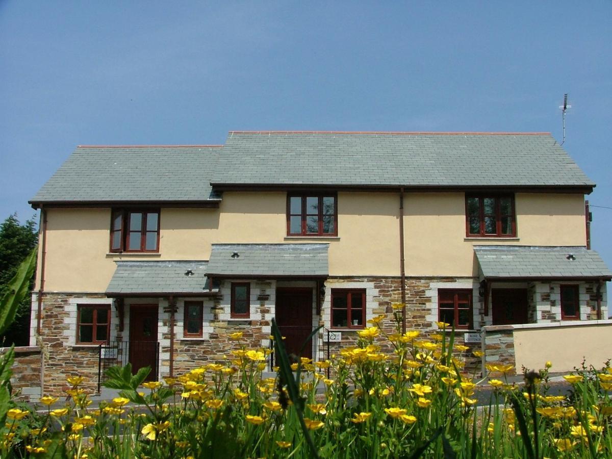 Rose Cottage كاميلفورد المظهر الخارجي الصورة